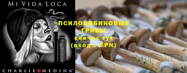 apvp Белокуриха