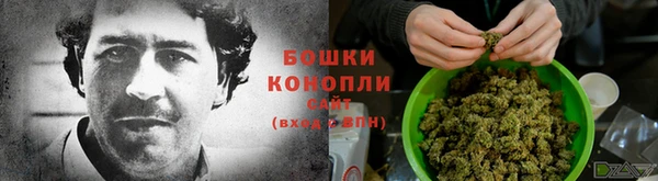 apvp Белокуриха