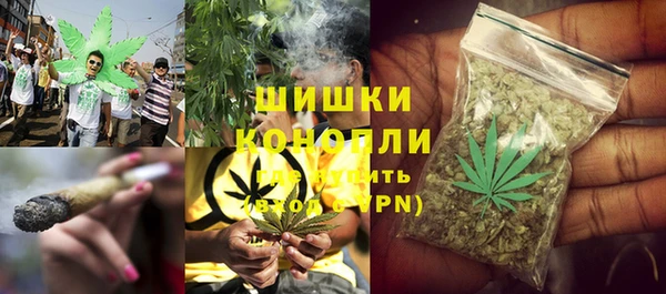 apvp Белокуриха