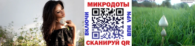 Галлюциногенные грибы Psilocybe  хочу   ОМГ ОМГ как зайти  Ермолино 